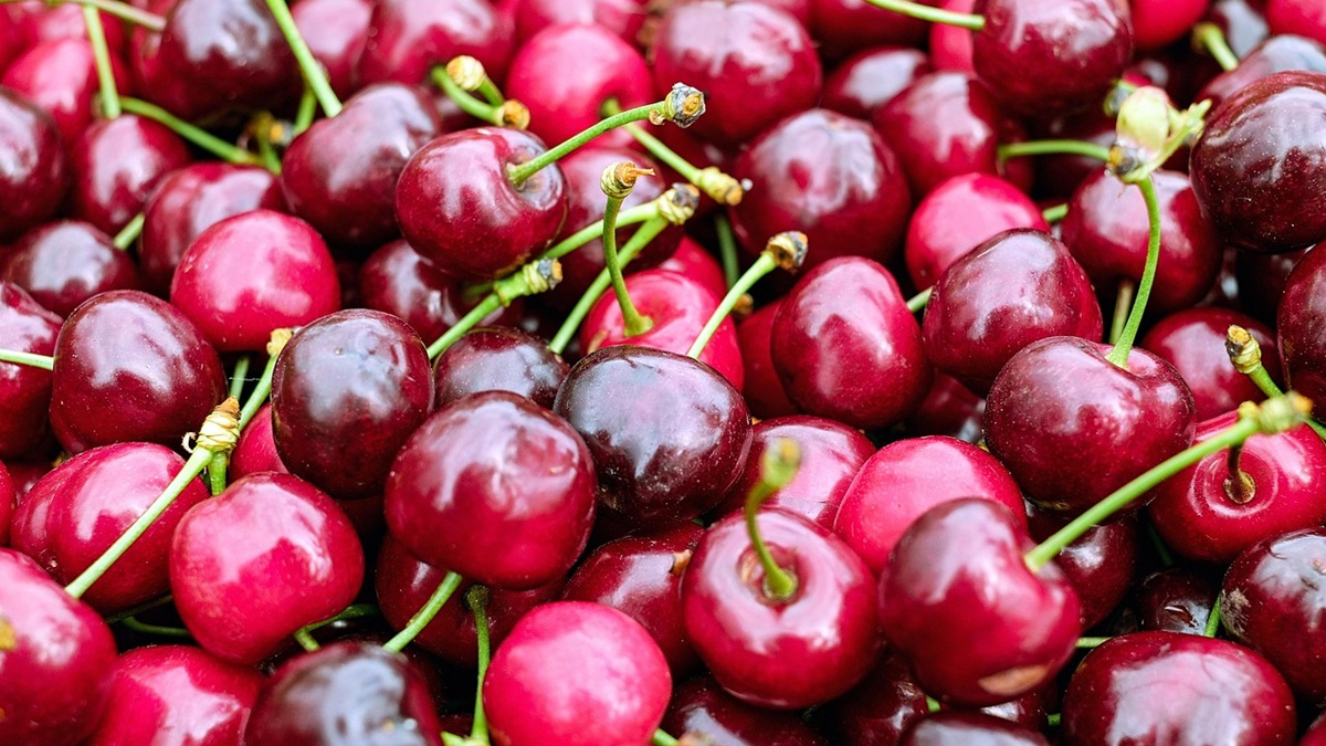 La espermidina preserva en cereza compuestos de interés nutricional.jpg